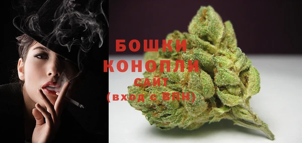шишки Верхний Тагил