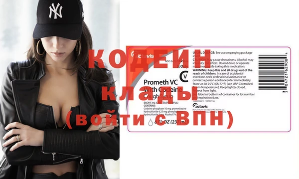шишки Верхний Тагил