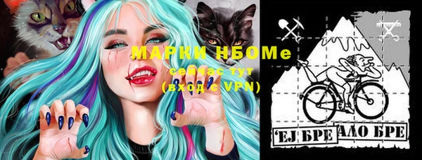 шишки Верхний Тагил
