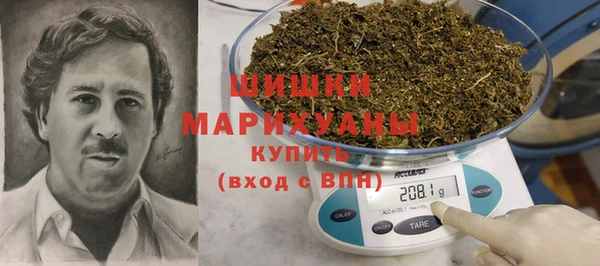 шишки Верхний Тагил