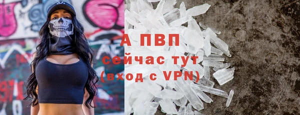 шишки Верхний Тагил