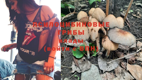 шишки Верхний Тагил