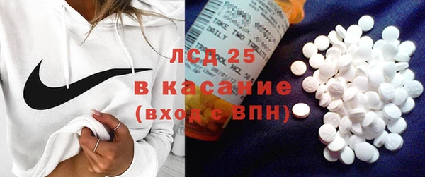 шишки Верхний Тагил